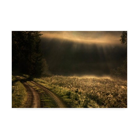 Trademark Fine Art Allan Wallberg 'Fogy Morning' Canvas Art, 12x19 1X08271-C1219GG